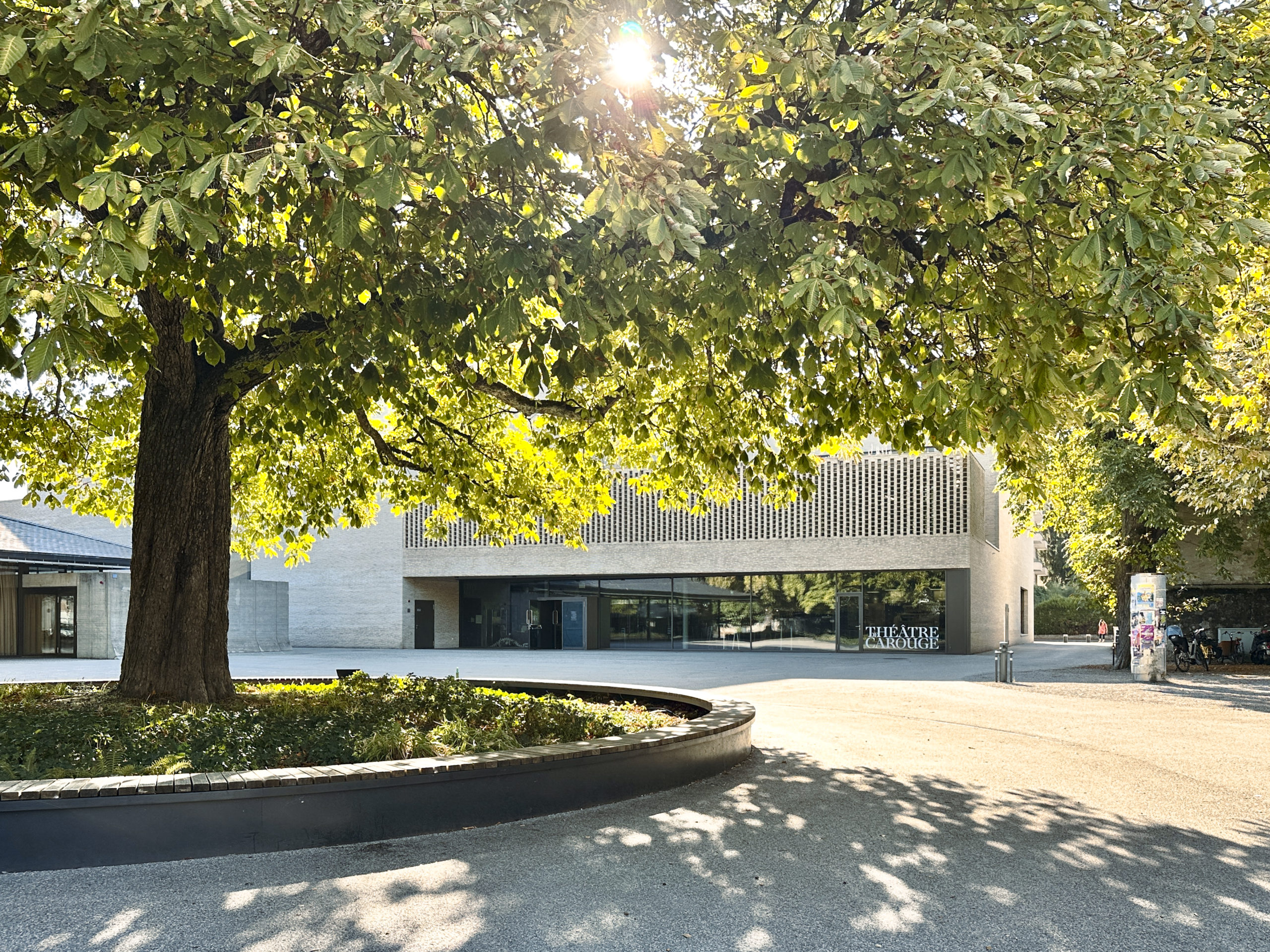 Carouge 10